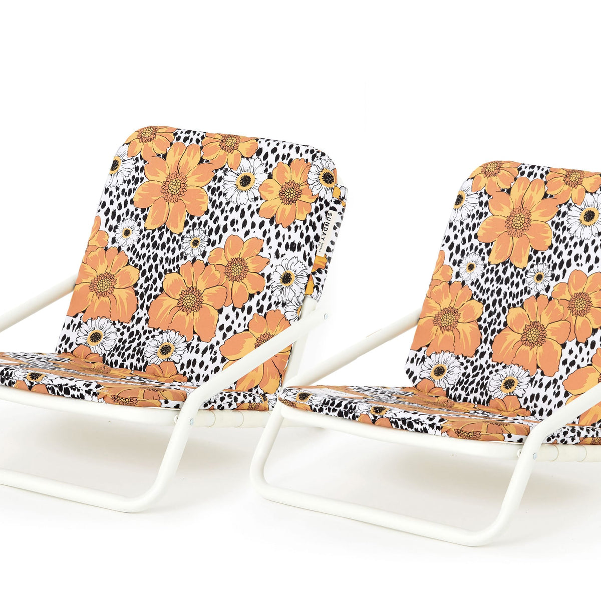 Animal Kingdom Beach Chair Set